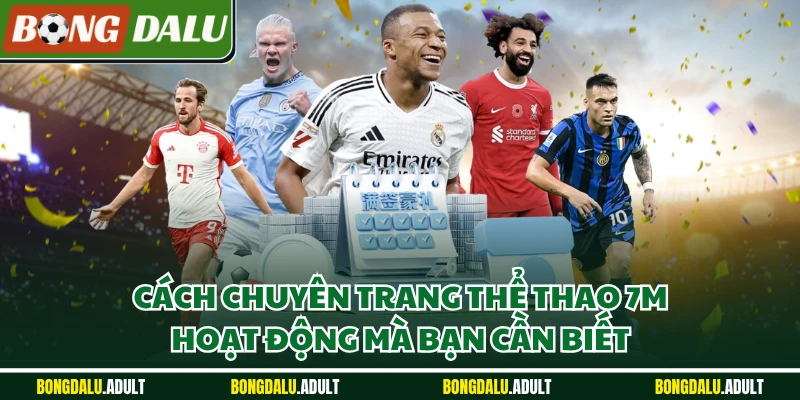 Cách chuyên trang thể thao 7M hoạt động mà bạn cần biết