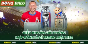Điều khoản giải phóng hợp đồng là gì