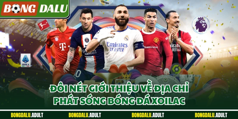 Đôi nét giới thiệu về địa chỉ phát sóng bóng đá Xoilac